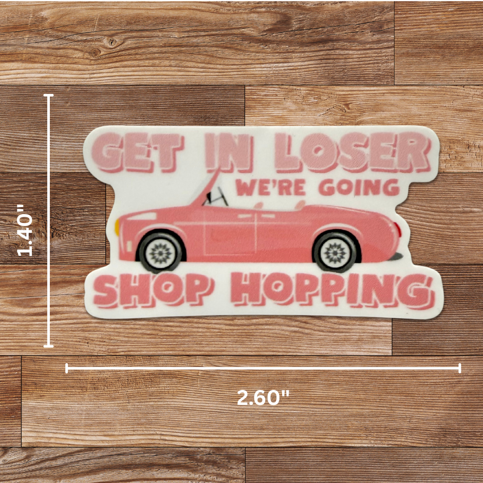 Get in Loser Sticker - 4 Pack